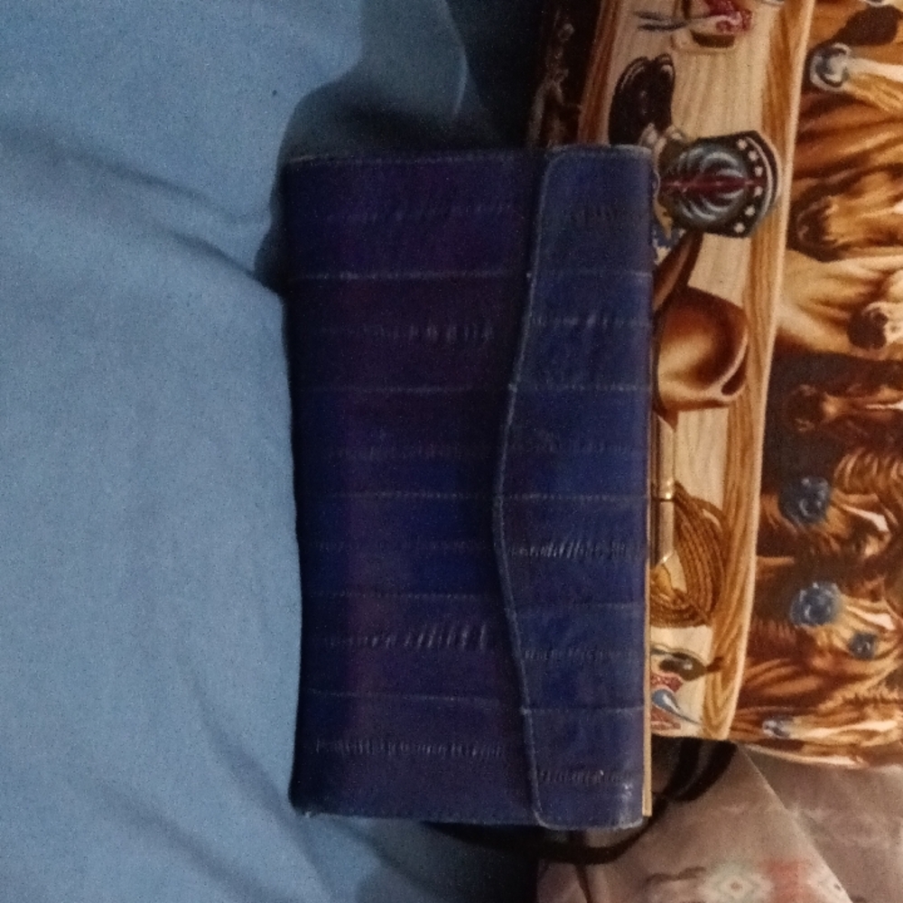 Blue Eel billfold